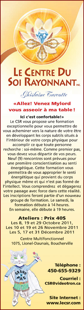 Le CSR